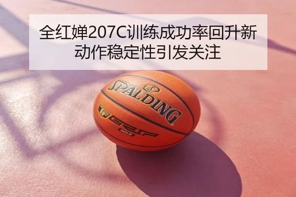 全红婵207C训练成功率回升新动作稳定性引发关注